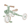 LEARNING TRIKE 2w1 PLUS ECOLOGIC - rowerek trójkołowy, biegowy - Pistachio (737-109)