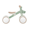 LEARNING BIKE ECOLOGIC - rowerek biegowy - Pistachio (736-109)