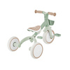 LEARNING TRIKE 3w1 PLUS ECOLOGIC - rowerek trójkołowy, biegowy - Pistachio (738-109)