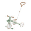 LEARNING TRIKE 3w1 PLUS ECOLOGIC - rowerek trójkołowy, biegowy - Pistachio (738-109)
